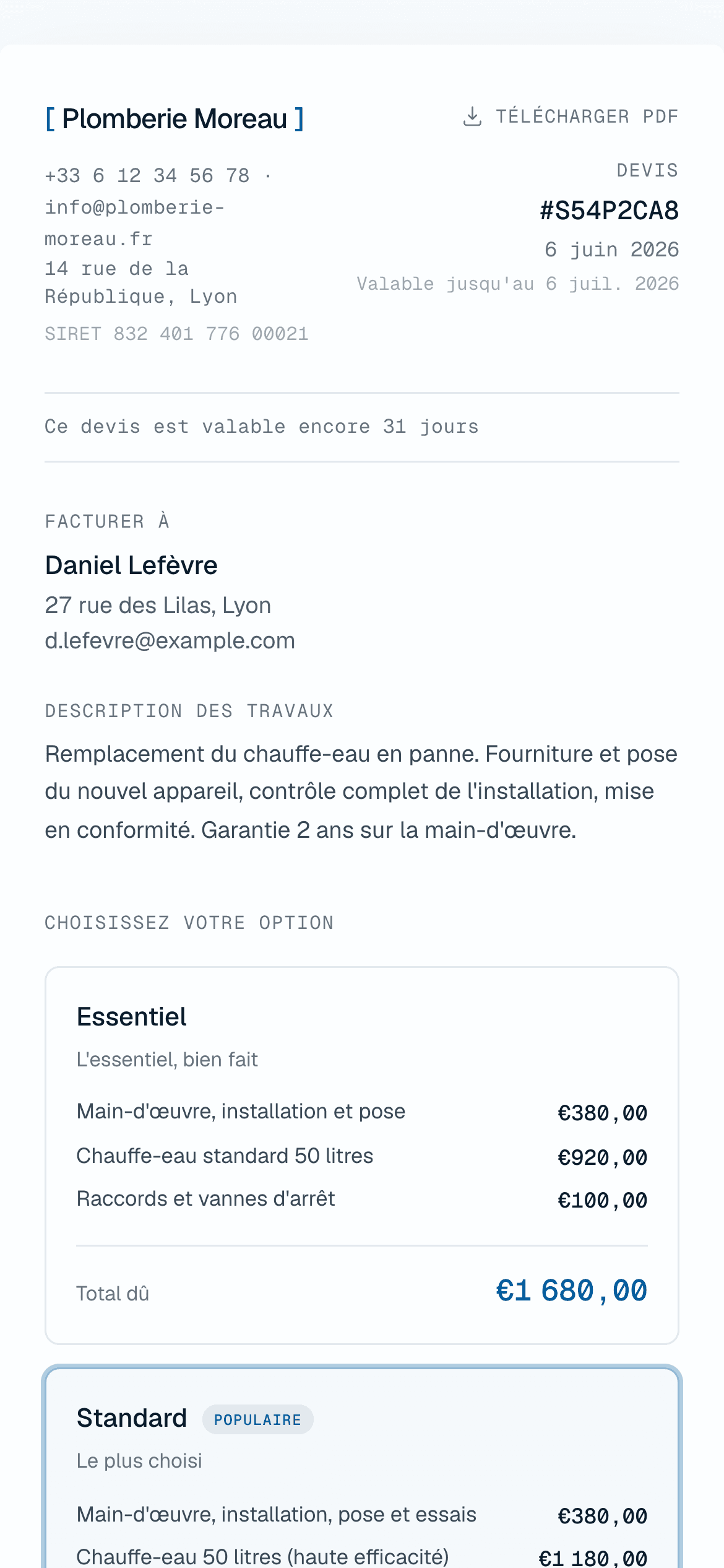 La page de devis avec ton logo : coordonnées, description des travaux, options
